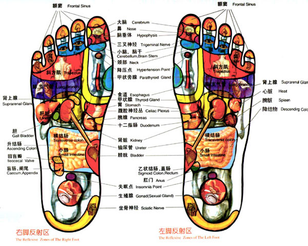 Foot reflexology and massage therapy at Magical Foot Spa